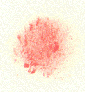 Stipple.GIF (30434 bytes)